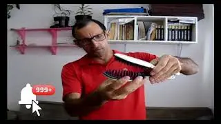 NÃO LIGA Escova Gama Italy Innova