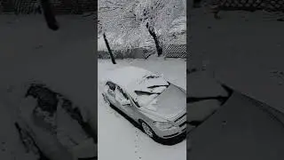 🤣 🤣 Can You Believe Winter ❄️ ❄️ ❄️ Wonder Land Guy's