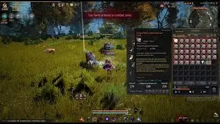 BDO 37*Ancient Relic Boss Scrolls