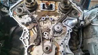 how to fix timing chain make/infinity G37  3.7/VQ37 V6 engine 🔥👍 Tyson 2jz 🔥👍🔧