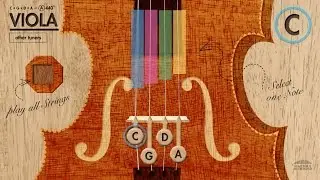 Viola Tuner (CGDA) in A 440Hz