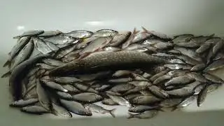 Ну, за рыбалку!