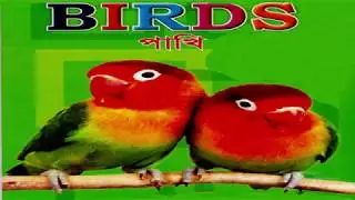 ছোট ছোট সোনামনিদের জন্য পাখি পরিচিতি (Interduce of Birds)