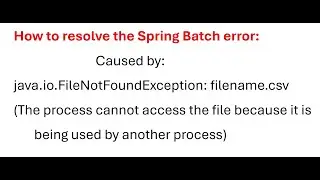 The process cannot access the file because it is being used by another process | Spring Batch Error