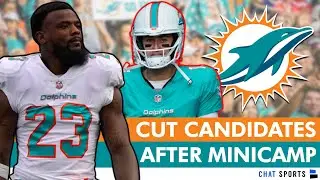 Miami Dolphins Cut Candidates After Minicamp Ft. Mike White, Braylon Sanders & Jeff Wilson