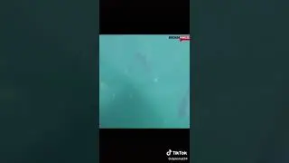 Это лучшая рыбалка!