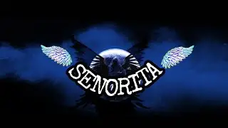 SENORITA REMIX DJ SLOW BREAKBEAT 2019 LAGU TERBARU
