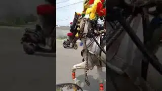 otewe arak2n kereta mzdin kencana ke kota tegal