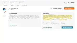 Förstå Ouriginal Analysrapport