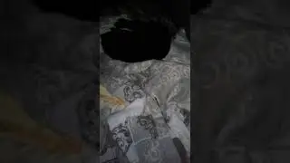 Ночь пришла))