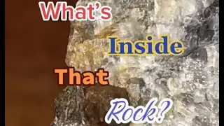 Looks like a chocolate chip cookie rock 🍪🪨 #youtubeshorts #geology #rock #crystals #minerals