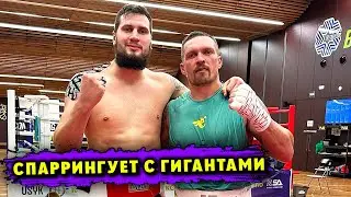 ГИГАНТСКИЕ Спарринг-Партнёры Александра Усика перед Боем против Тайсона Фьюри!