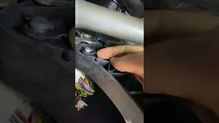 #веста