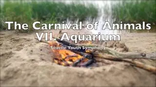 The Carnival of Animals VII Aquarium |  Camille Saint-Saëns 12 Minute Loop Le carnaval des animaux