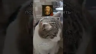 8 октября 2024 г.