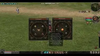 Subiendo Guardian al lvl 300/MT2 Crytek/Primeras pruebas#2