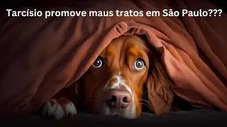 Lei 17972 do Estado de São Paulo - A "Lei que maltrata!"
