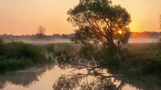 Ш  Шабанов  Доля