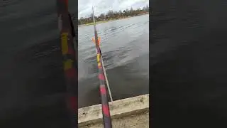 8 апреля 2024 г.