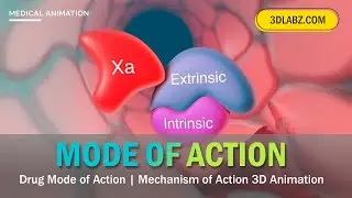 Drug Mode of Action | Mechanism of Action 3D Animation