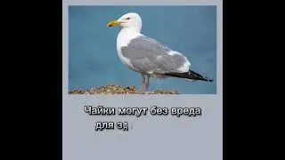 #интересные факты
