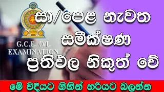 දැම්ම බලන්න හැමෝම  2025 O/L Re-Correction Result out| Sri Lanka O/L Re-Correction Release 2025