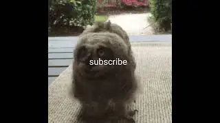 Made you look