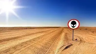 Где найти всё оружие из зоны 51?