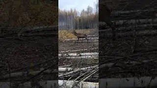 Тот момент когда не с кем побадаться?😁