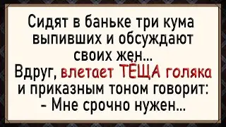 Вы не поверите, что сделала ТЁЩА! Сборник анекдотов!
