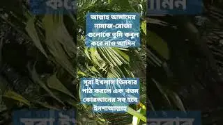 সুরা ইখলাস#shorts#short#shortsfeed