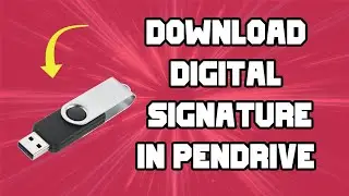 How to Download Digital Signature Certificate in Pendrive 2024 - Apicountry