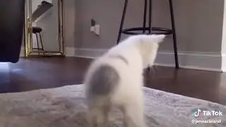 Хахахахахахаха😂