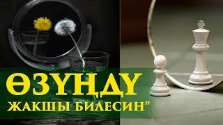 Өзүндү, өзүң жакшы билесин! Шумкар устаз @ayanba_media