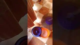 نشاط وهمه قومي يااختي