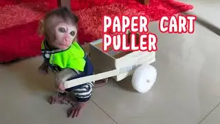 Paper Cart Puller . Lovely Fauna Youtube Channel