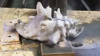 Cutting A Seashell With A Waterjet