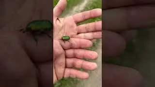 САНЯ НАШЕЛ НАВОЗНИКА