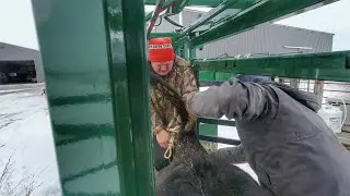 I'd Rather take the Butcher's word for it