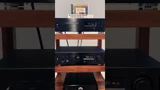 Focal + TEAC + Dragon Cables = LEGENDARY! | Moon Audio 