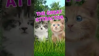 The Great Attractor #kitters #astrophysics #space