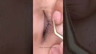 Lash With Me: Quick Volume Lash Set Using W5D Lashes!
