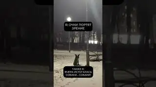 Очки портят зрение - это миф. Плохое зрение портит вам жизнь - 100% правда. 