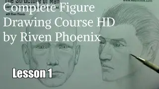 Figure Drawing Tutorial Lesson 1: Basic Proportions & The Mannequin | Structure of Man