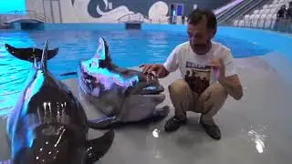 Асхаб Бурсагов Ashab Bursagov