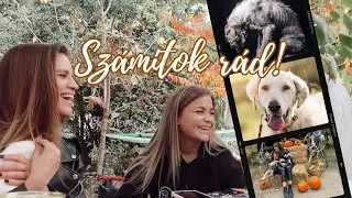 Számítok rád! // Egy szuper délután a debreceni menhelyen & a ti állatkáitok! 🐶🐱│ Karin Dragos