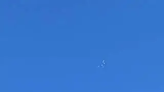 Ижевские голуби. Полёты 23.07.24.