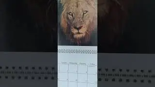 🇿🇦❣🇿🇦