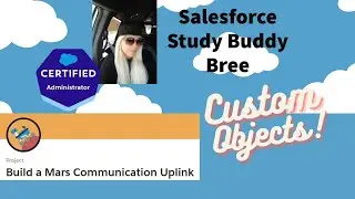 Salesforce Custome object with custom pick list Mars uplink trail