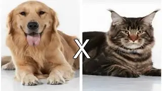 Manteiguinha x Bartolomeu